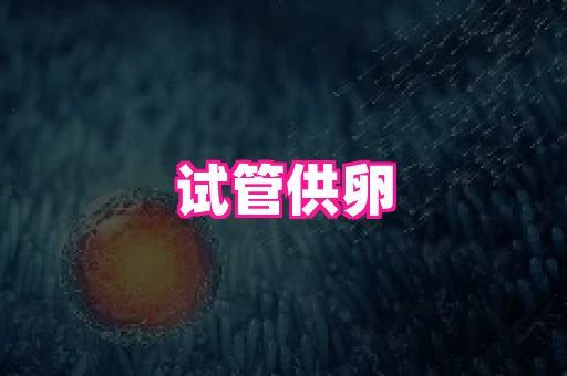 swisee孕网 1