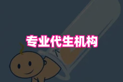 swisee孕网 2