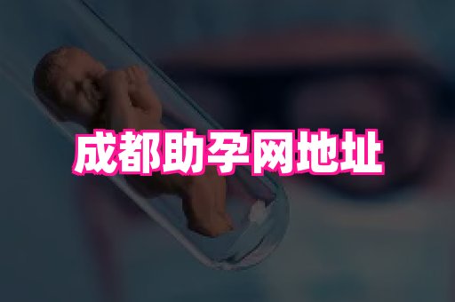 swisee孕网 3